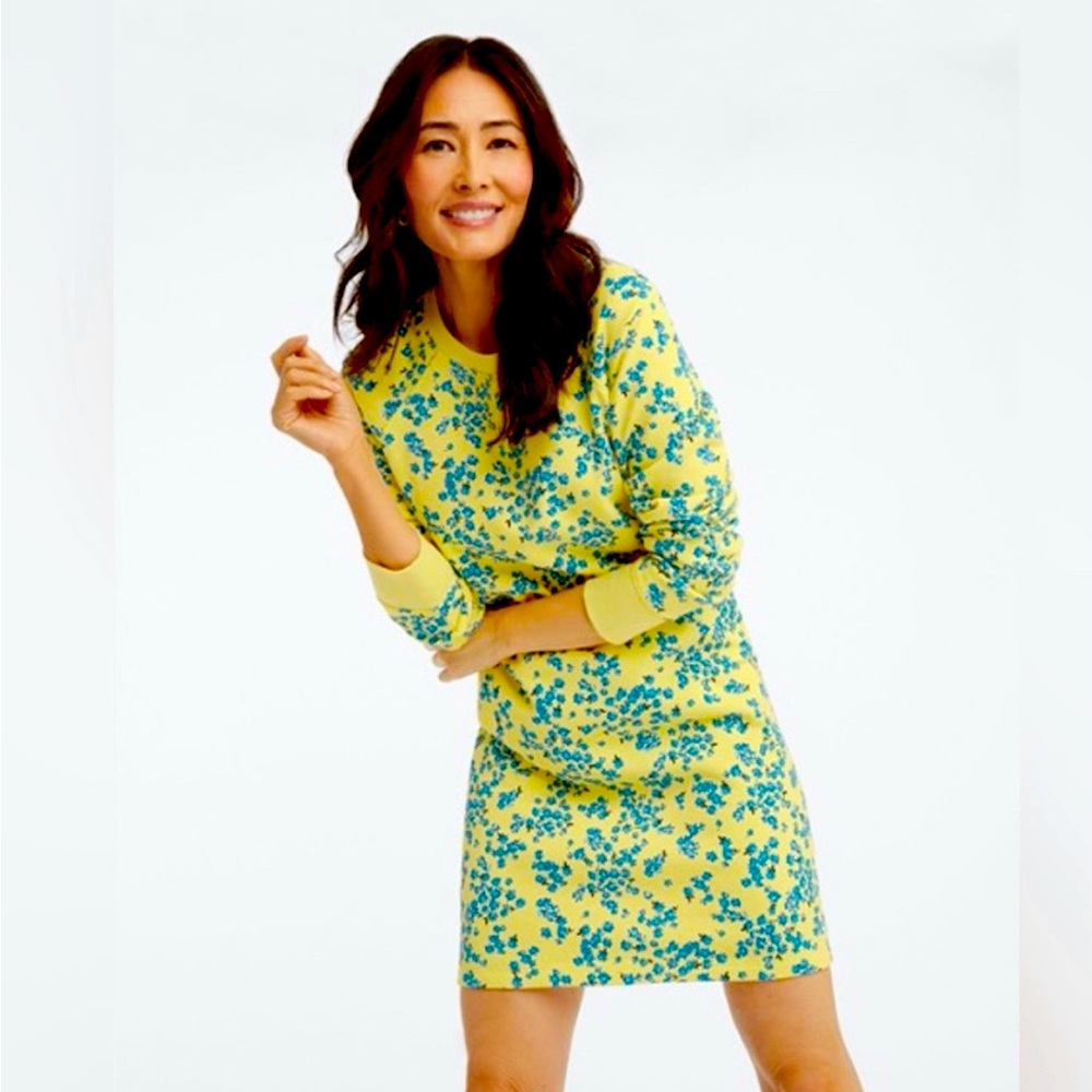 Draper James Sweatshirt Dress